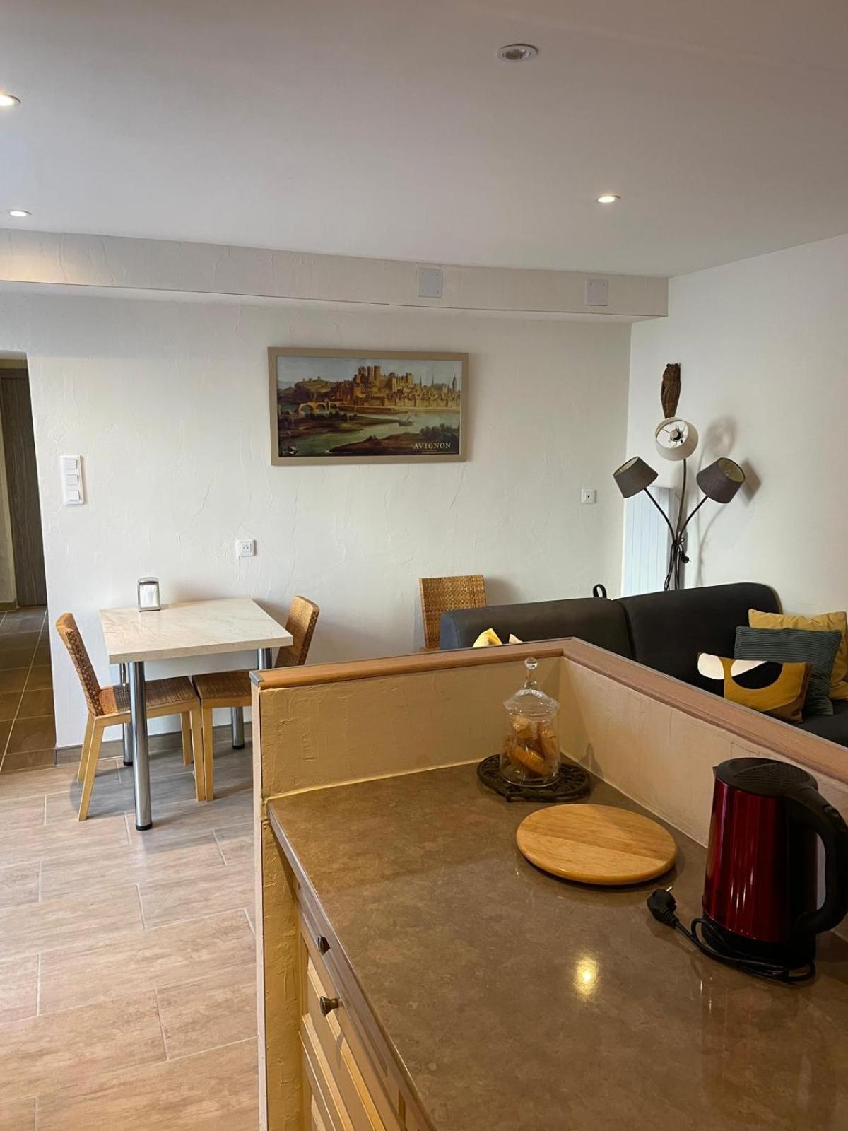 Appartement De Plain-Pied Avec Jardin อาวีญง ภายนอก รูปภาพ